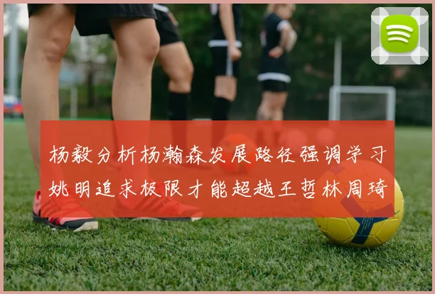 杨毅分析杨瀚森发展路径强调学习姚明追求极限才能超越王哲林周琦状态