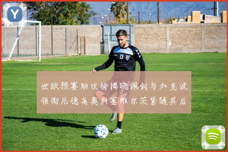 世欧预赛助攻榜揭晓佩剑与加克波领衔厄德高奥利塞维尔茨紧随其后