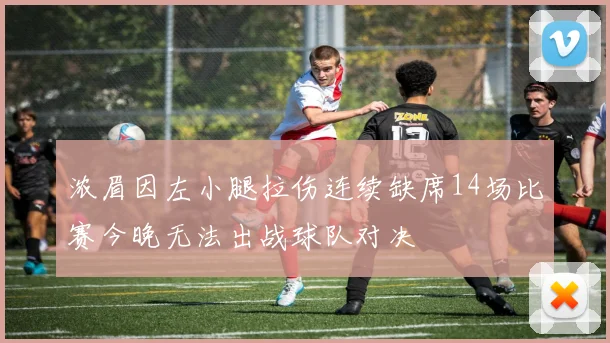 浓眉因左小腿拉伤连续缺席14场比赛今晚无法出战球队对决